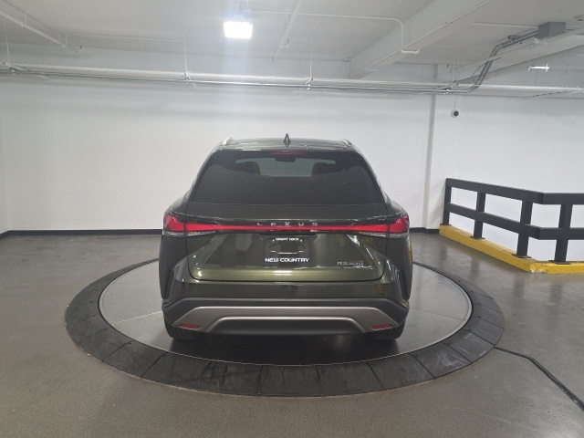 2025 Lexus RX 350 Premium photo 3