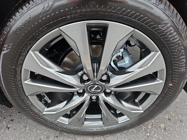 2025 Lexus UX F SPORT Design photo 31