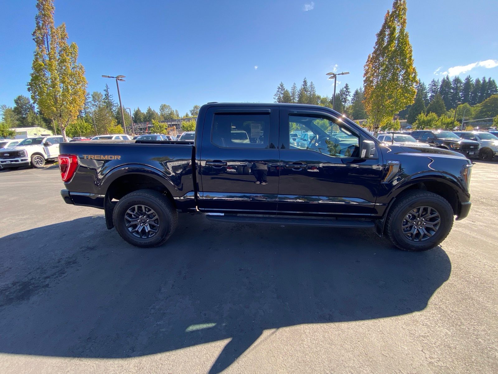 2023 Ford F-150 Tremor photo 4