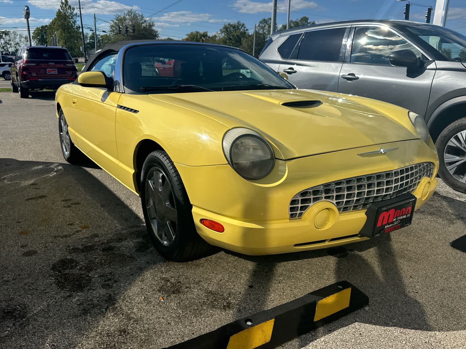 Used 2002 Ford Thunderbird Deluxe with VIN 1FAHP60A42Y105886 for sale in Mount Sterling, KY