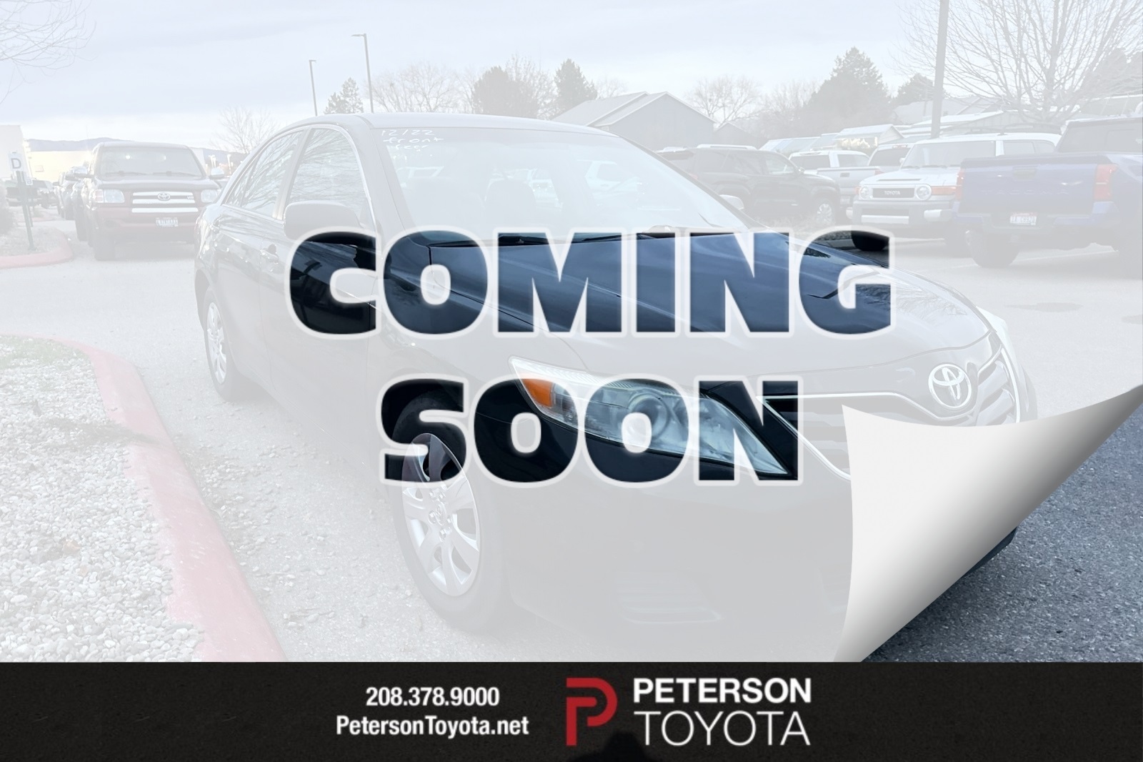 2010 Toyota Camry LE