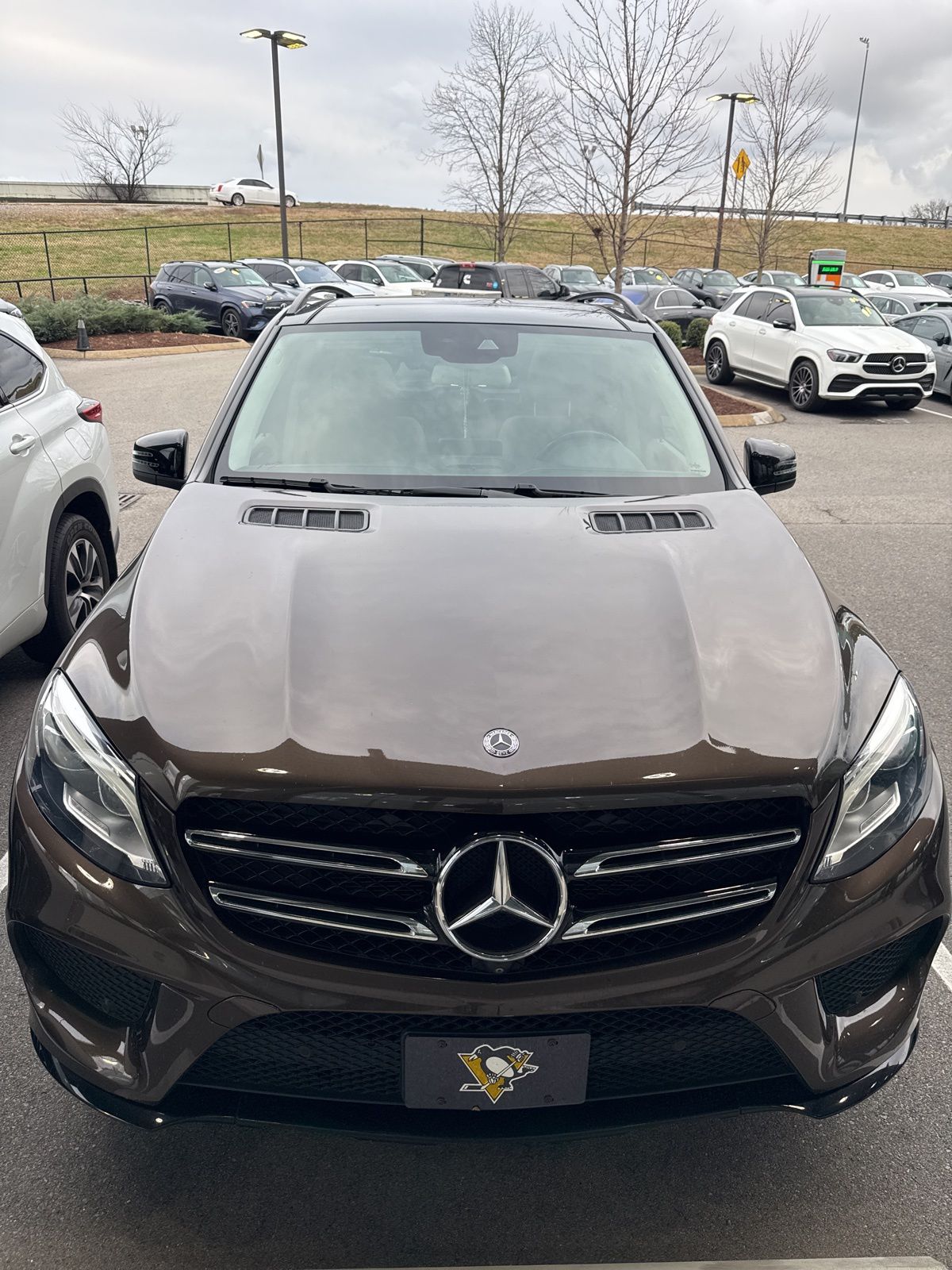 2017 Mercedes-Benz GLE-Class GLE350