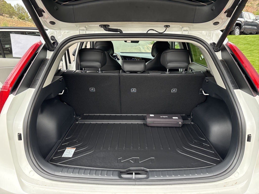 2025 Kia Niro EV Wave photo 27