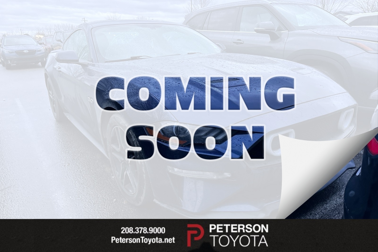 2019 Ford Mustang GT's photo