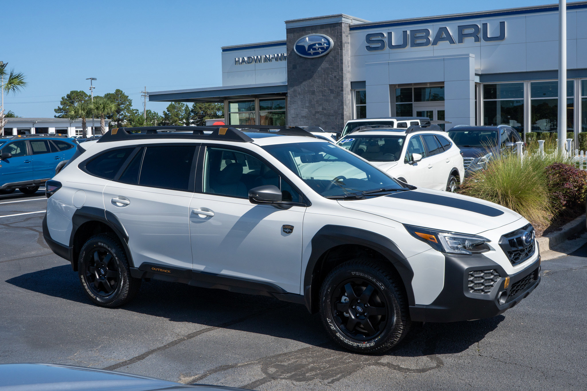 2025 Subaru Outback Wilderness's photo
