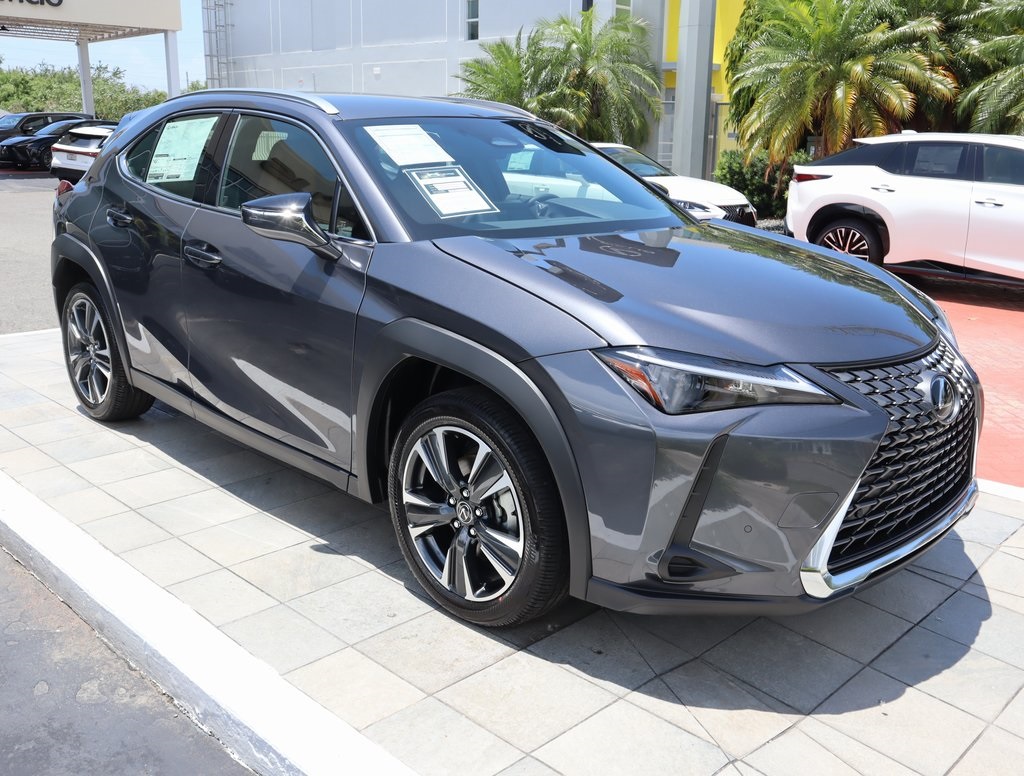 2025 Lexus UX photo 3