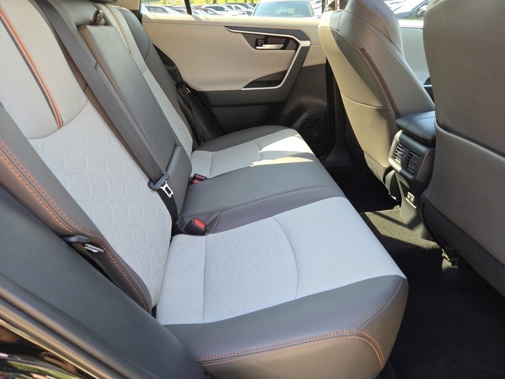 2019 Toyota RAV4 Adventure photo 3