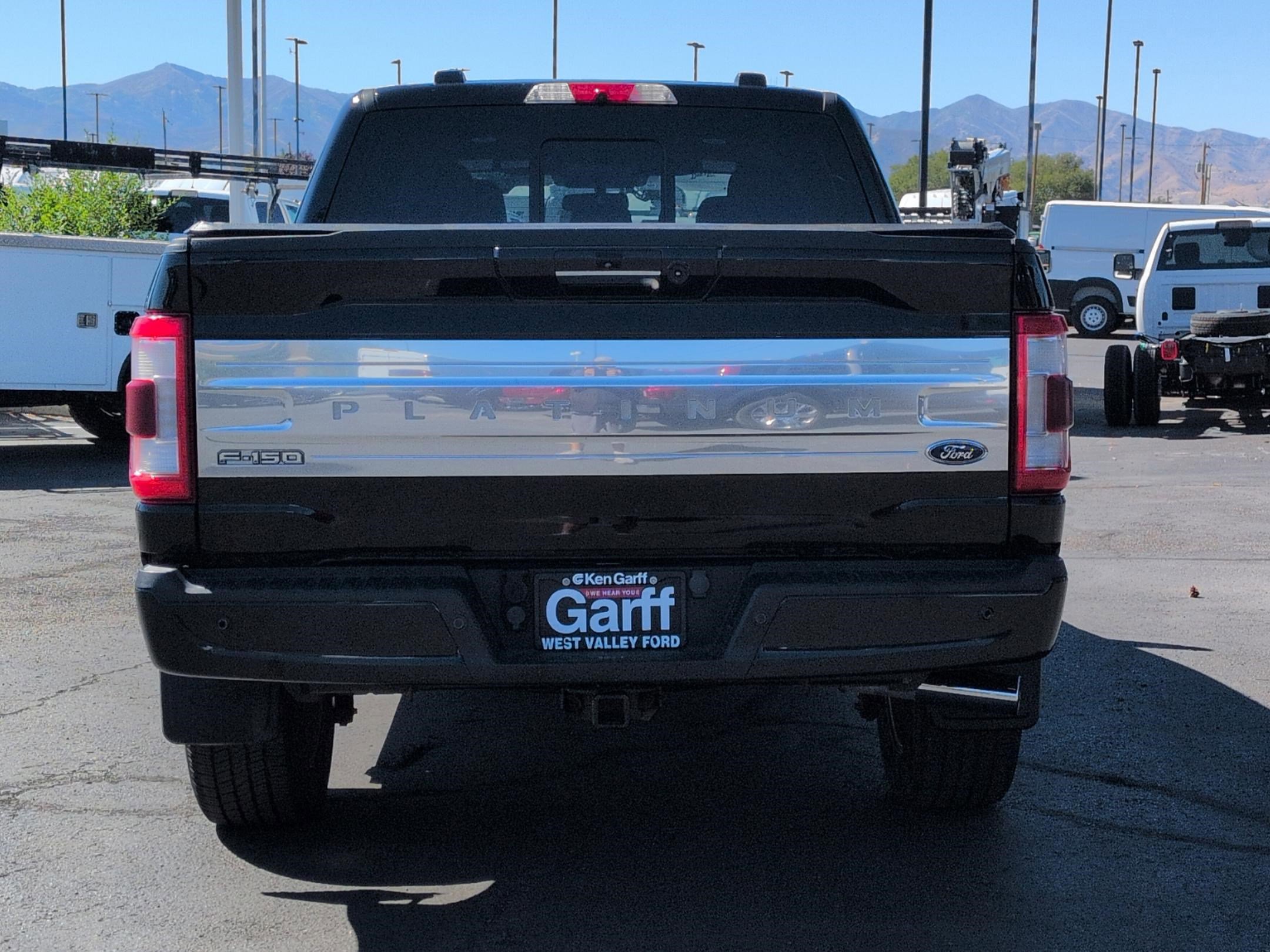 2021 Ford F-150 Platinum photo 4