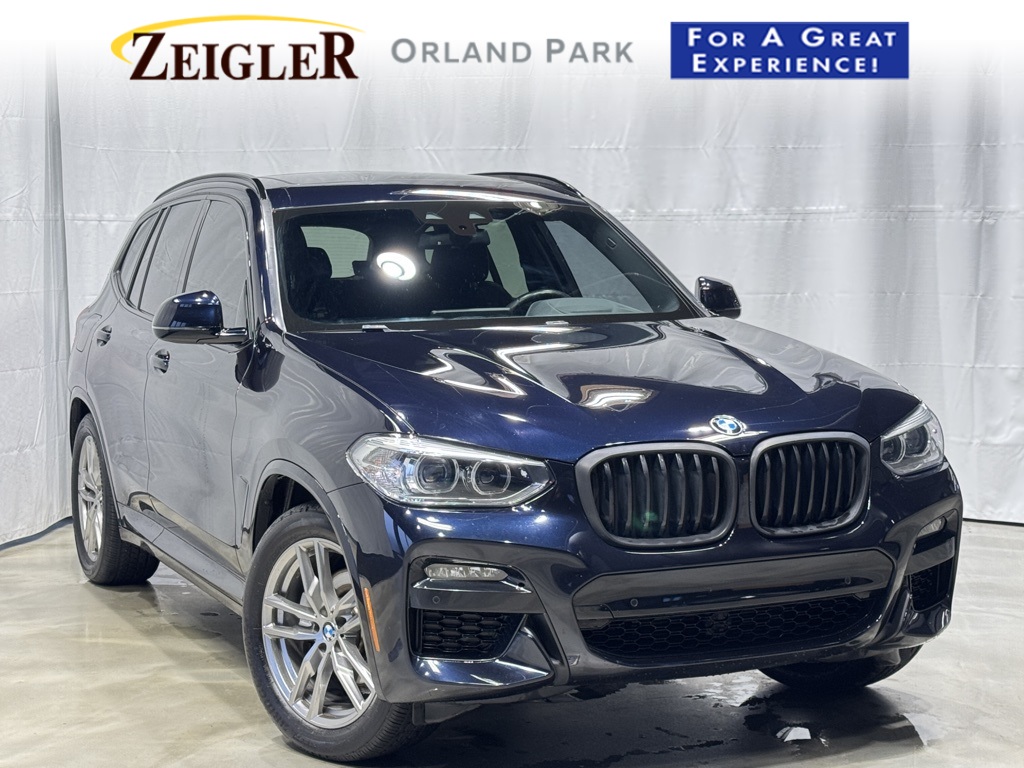 2021 BMW X3 30e's photo