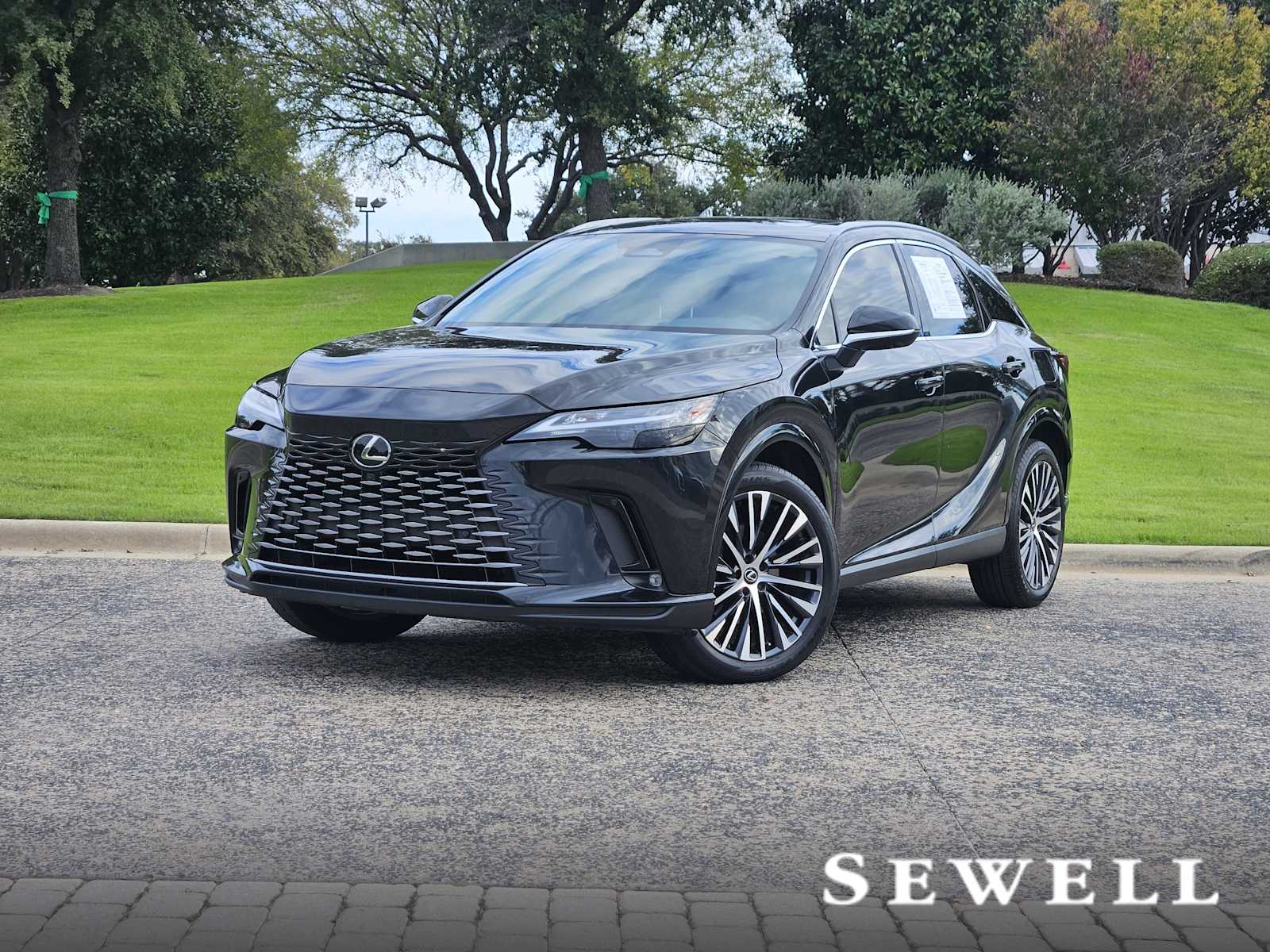 2024 Lexus RX 350's photo