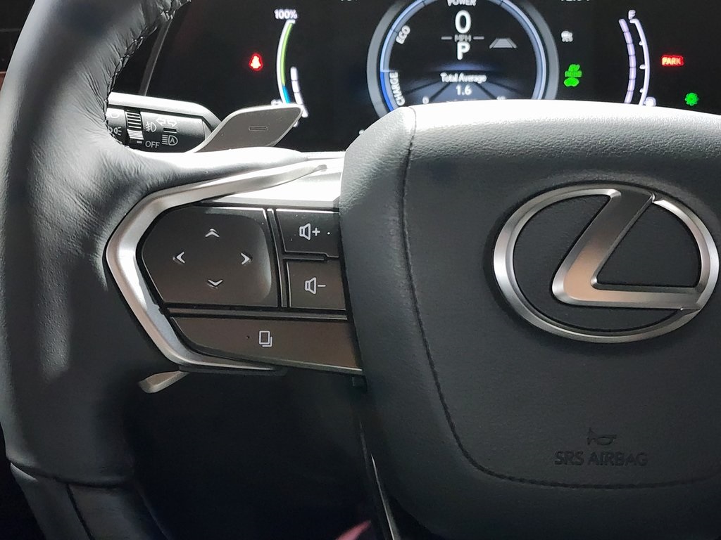 2025 Lexus RX 450h+ Luxury photo 15