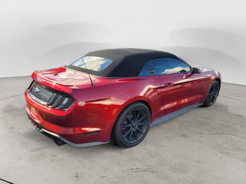 2019 Ford Mustang EcoBoost Premium Convertible photo 2