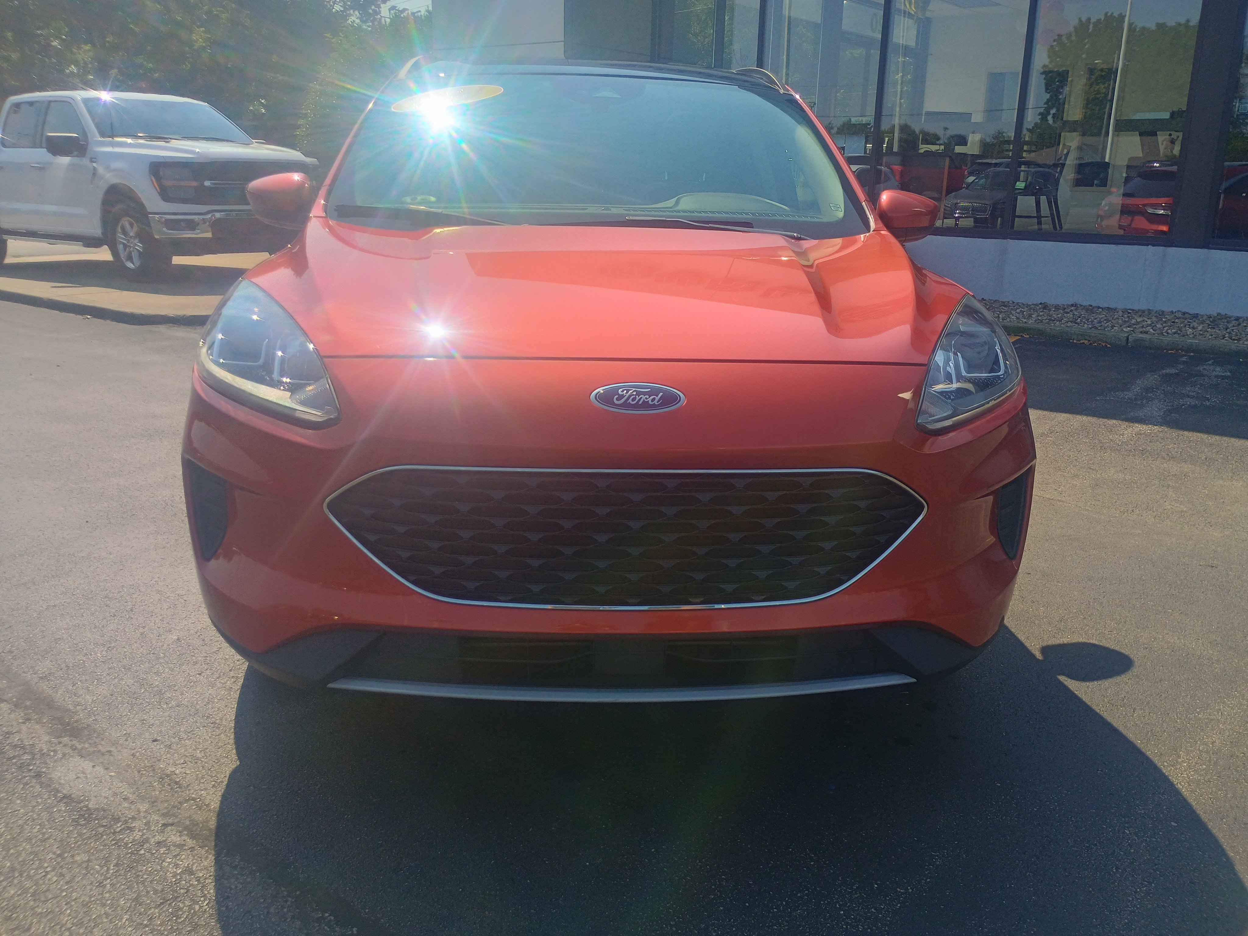 Used 2020 Ford Escape SE with VIN 1FMCU0G69LUA52974 for sale in South Bend, IN