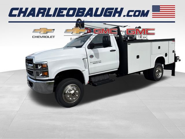 2024 Chevrolet Silverado 4500 Medium Duty Chassis Cab Work Truck's photo