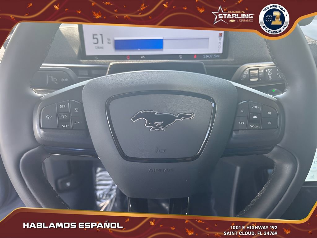 2021 Ford Mustang Mach-E Premium photo 15