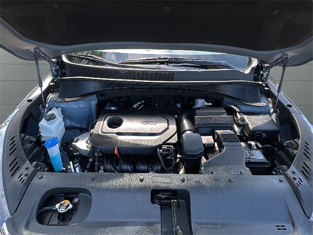 2019 Kia Sorento L photo 31