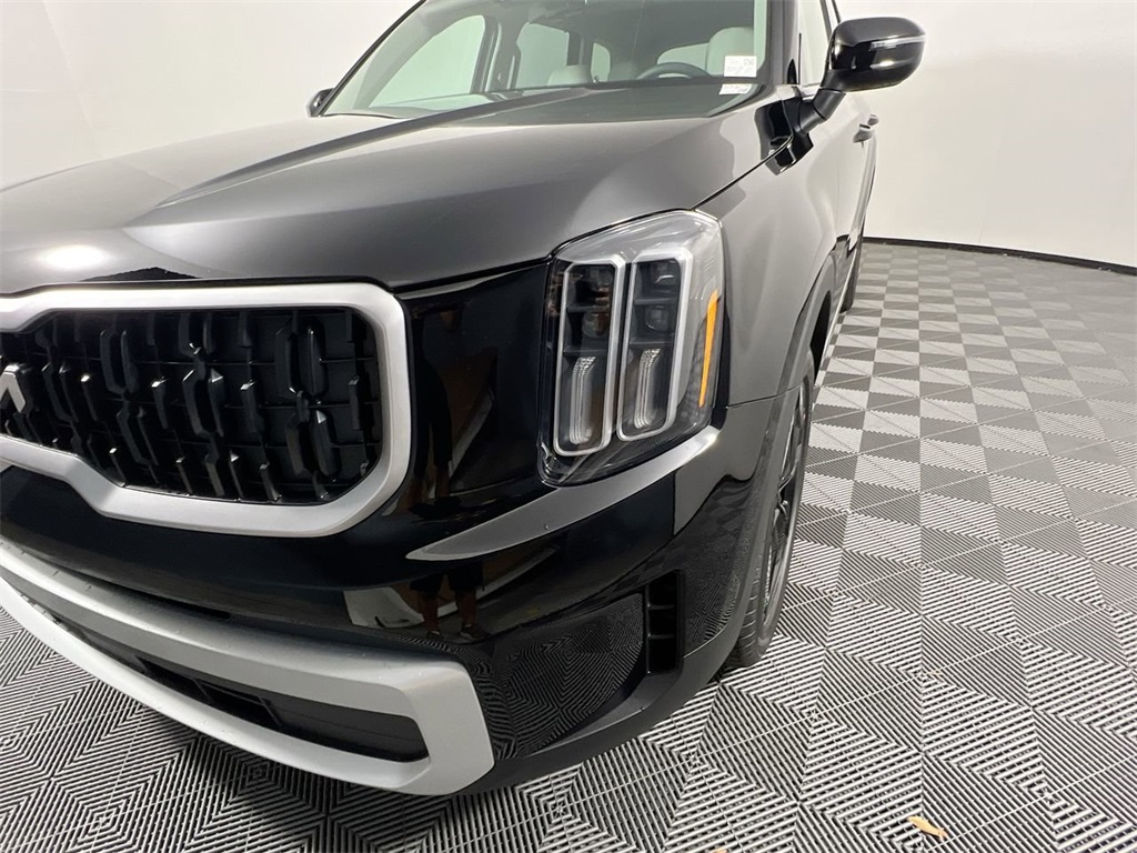 2025 Kia Telluride EX photo 10
