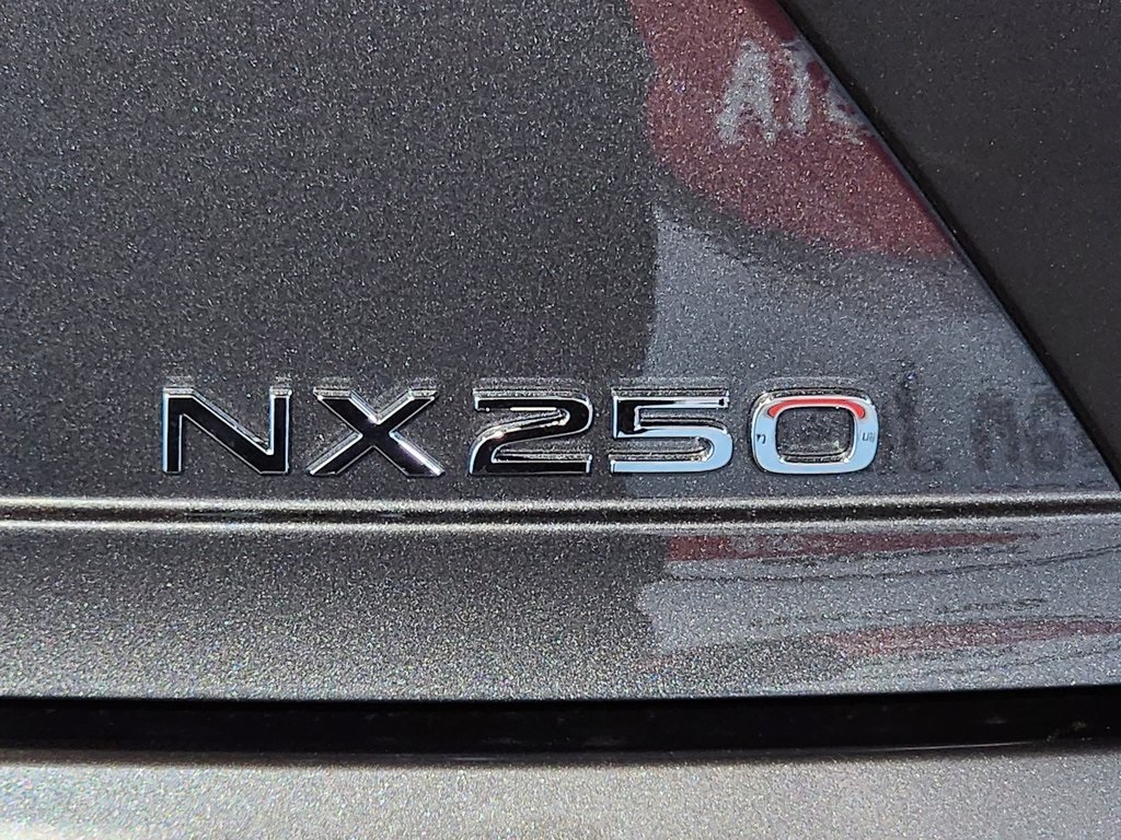 2025 Lexus NX 250 photo 9