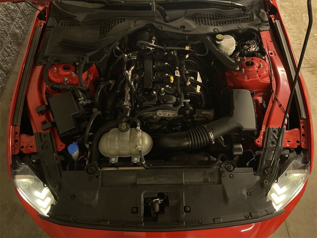 2023 Ford Mustang EcoBoost Premium Convertible photo 17