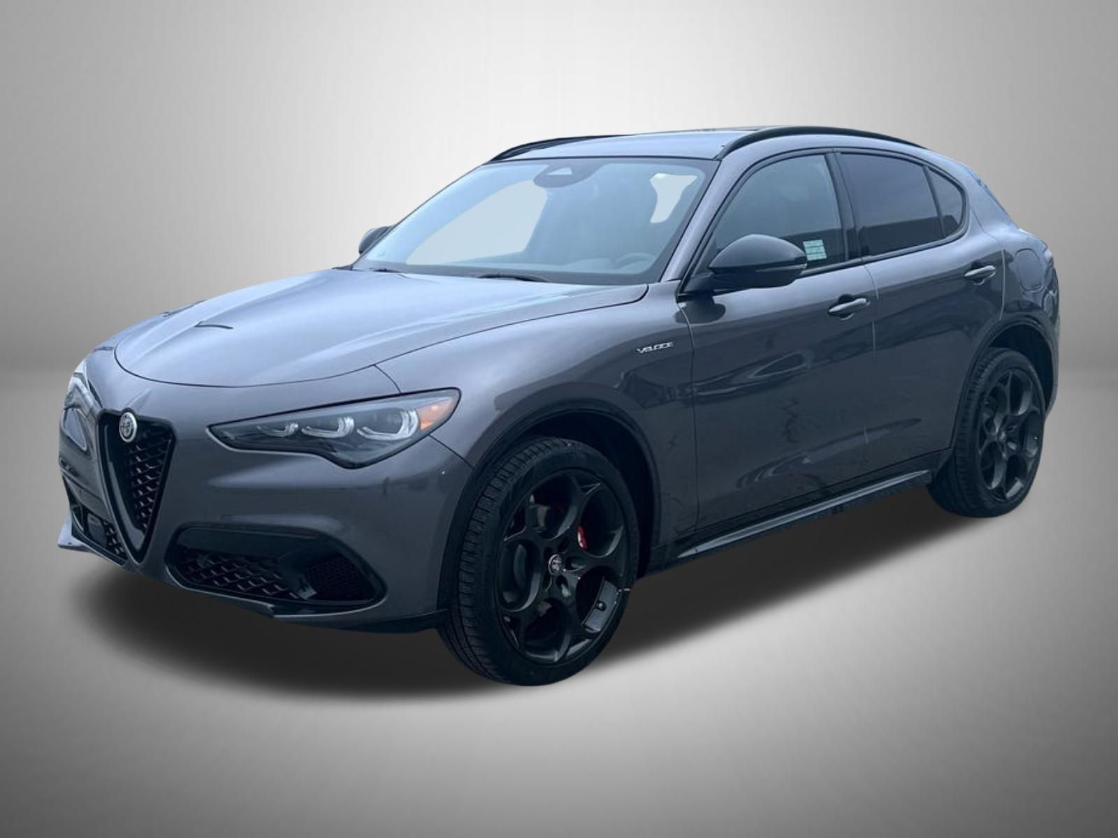 2025 Alfa Romeo Stelvio Base's photo