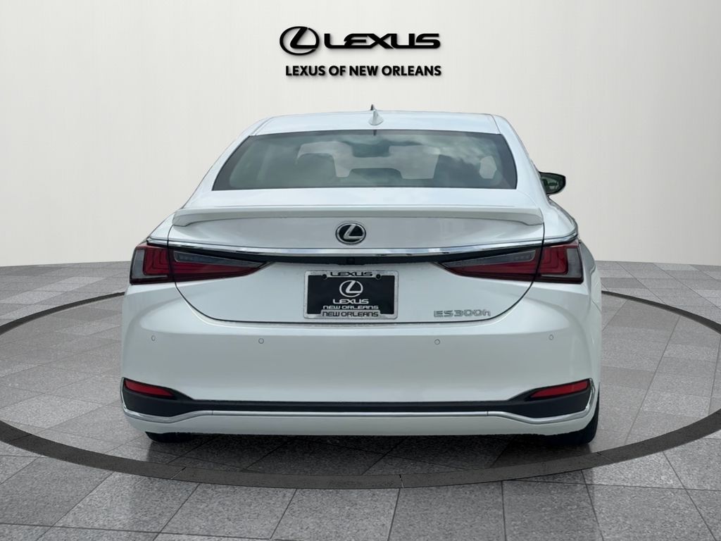 2025 Lexus ES 300h Luxury photo 6