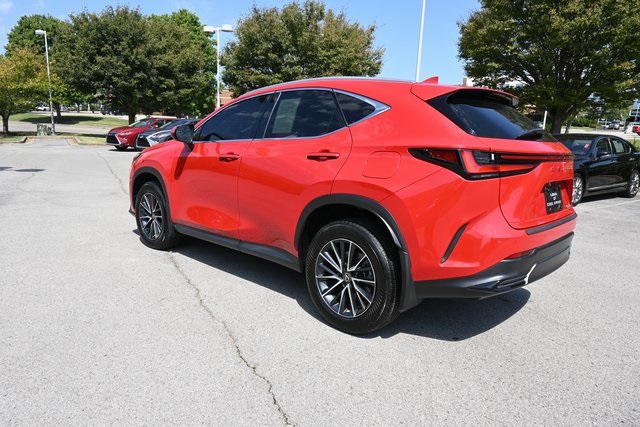 2024 Lexus NX 250 Premium photo 8