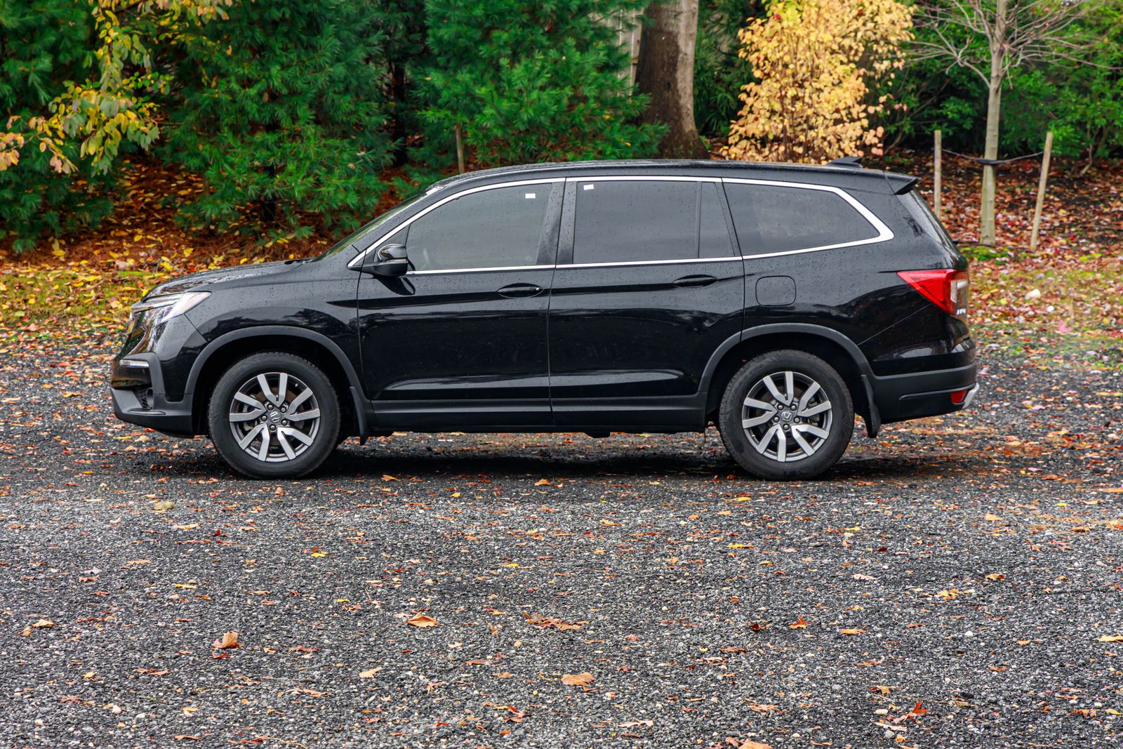 2020 Honda Pilot EX-L photo 4