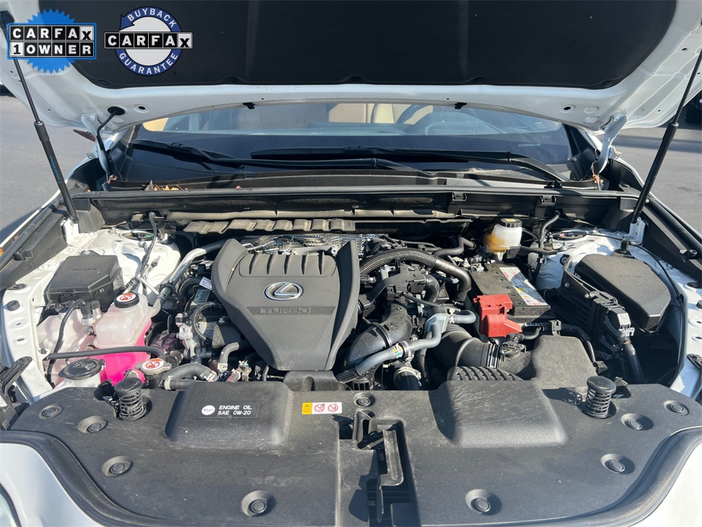 2024 Lexus NX 350 photo 18
