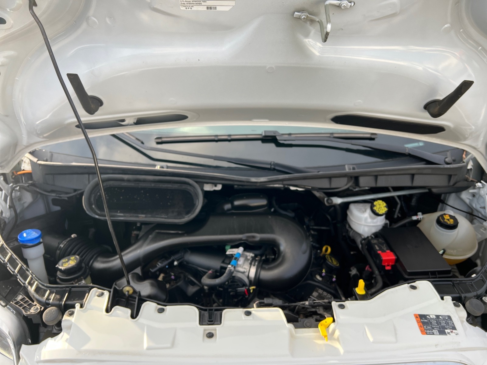 2019 Ford Transit Passenger XLT photo 3