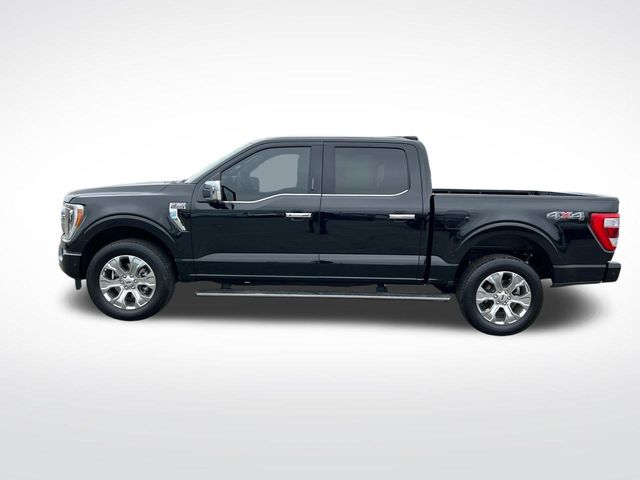2023 Ford F-150 Platinum photo 7