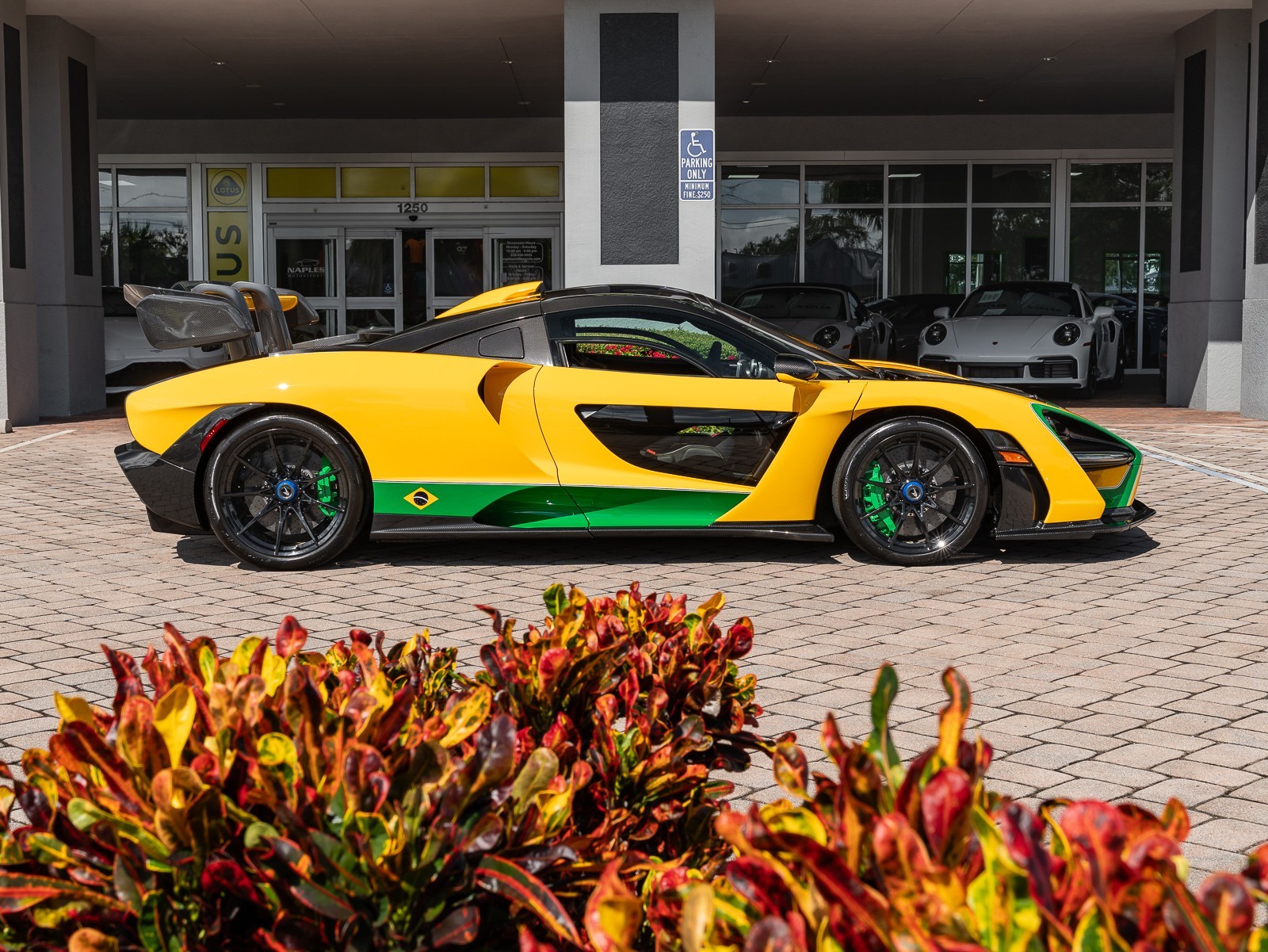 2019 Mclaren SENNA photo 33