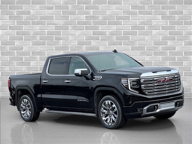 2025 Gmc Sierra 1500 Denali photo 8
