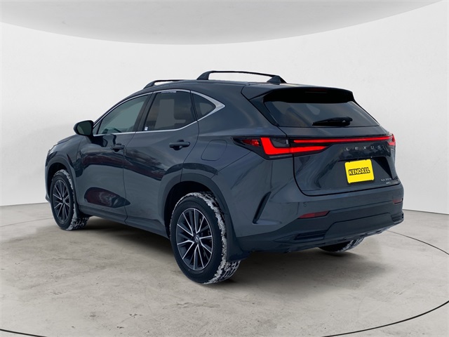 2025 Lexus NX 350h photo 3