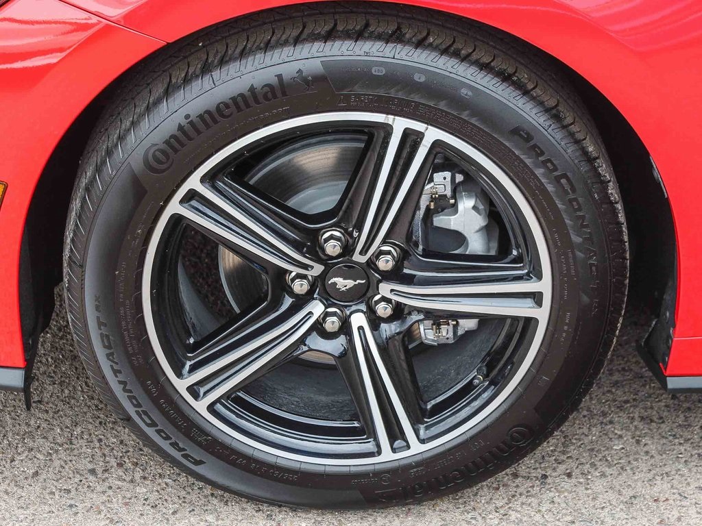2025 Ford Mustang EcoBoost photo 6