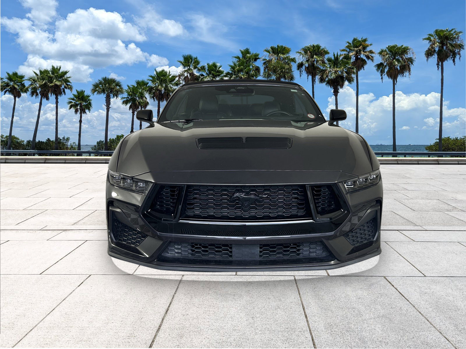 2024 Ford Mustang GT Premium photo 3