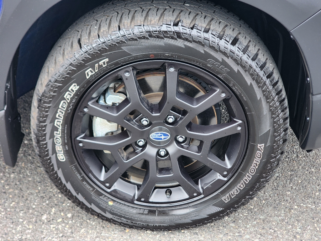 2025 Subaru Crosstrek Wilderness photo 3