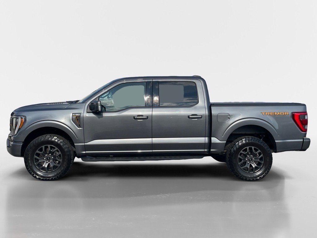 2023 Ford F-150 Tremor photo 2