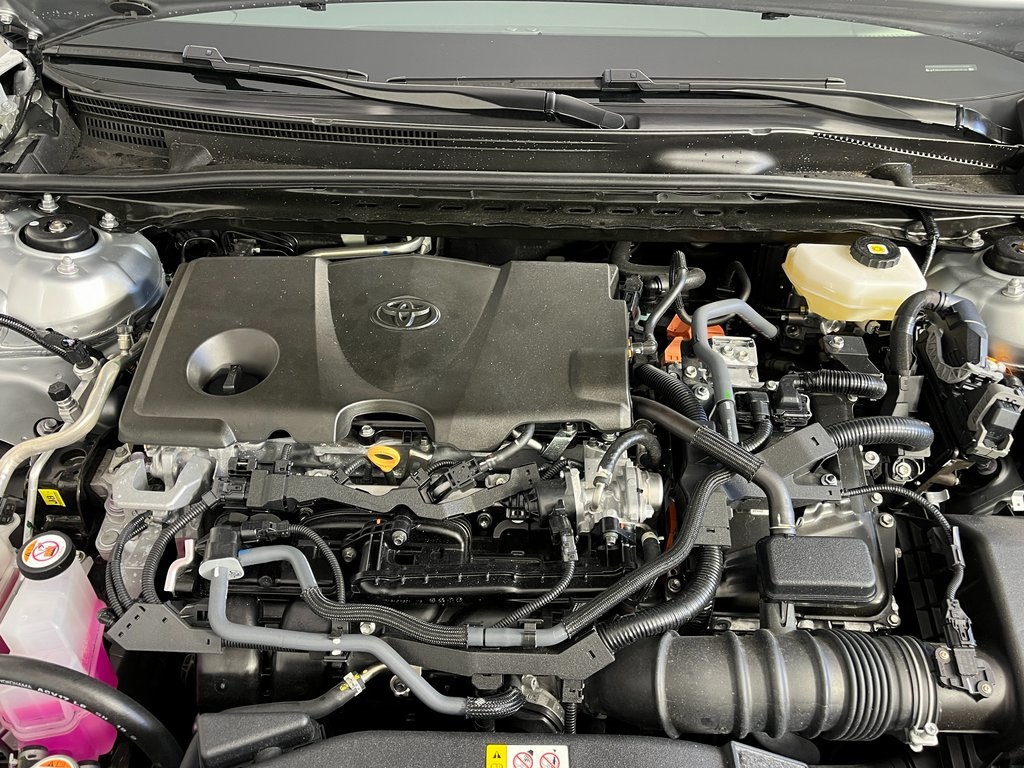 2025 Toyota Camry LE photo 14