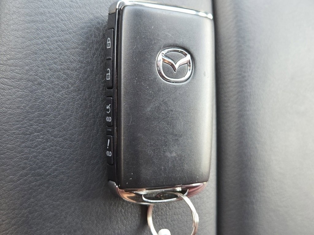 2023 Mazda CX-9 Carbon photo 32