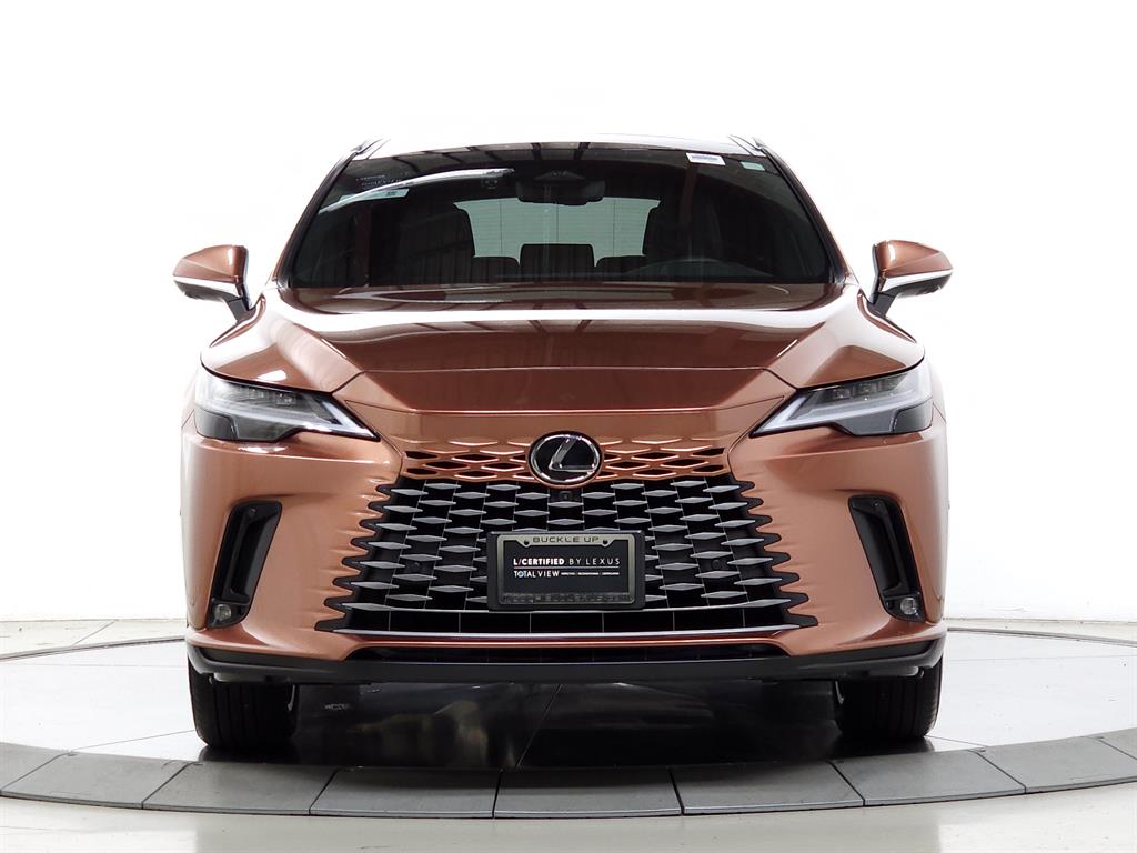 2025 Lexus RX 350h Luxury photo 2