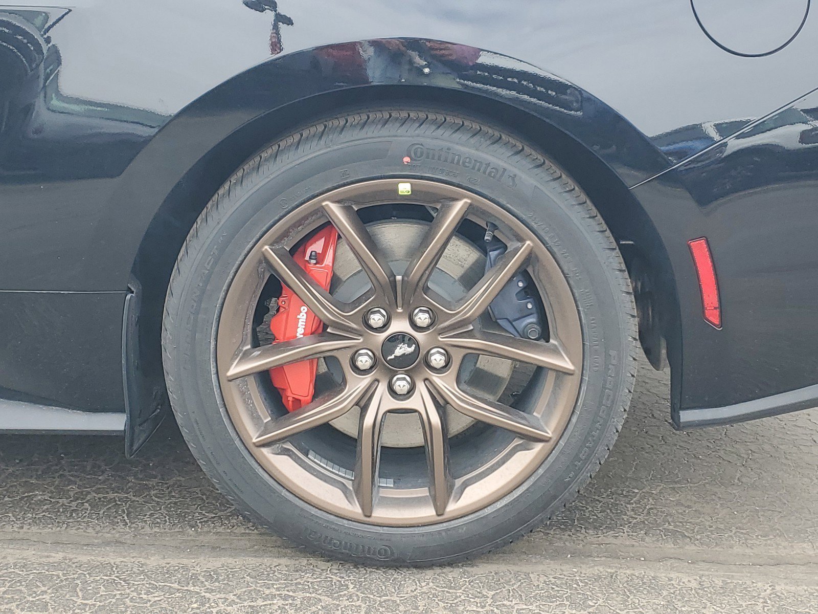 2025 Ford Mustang GT Premium photo 5