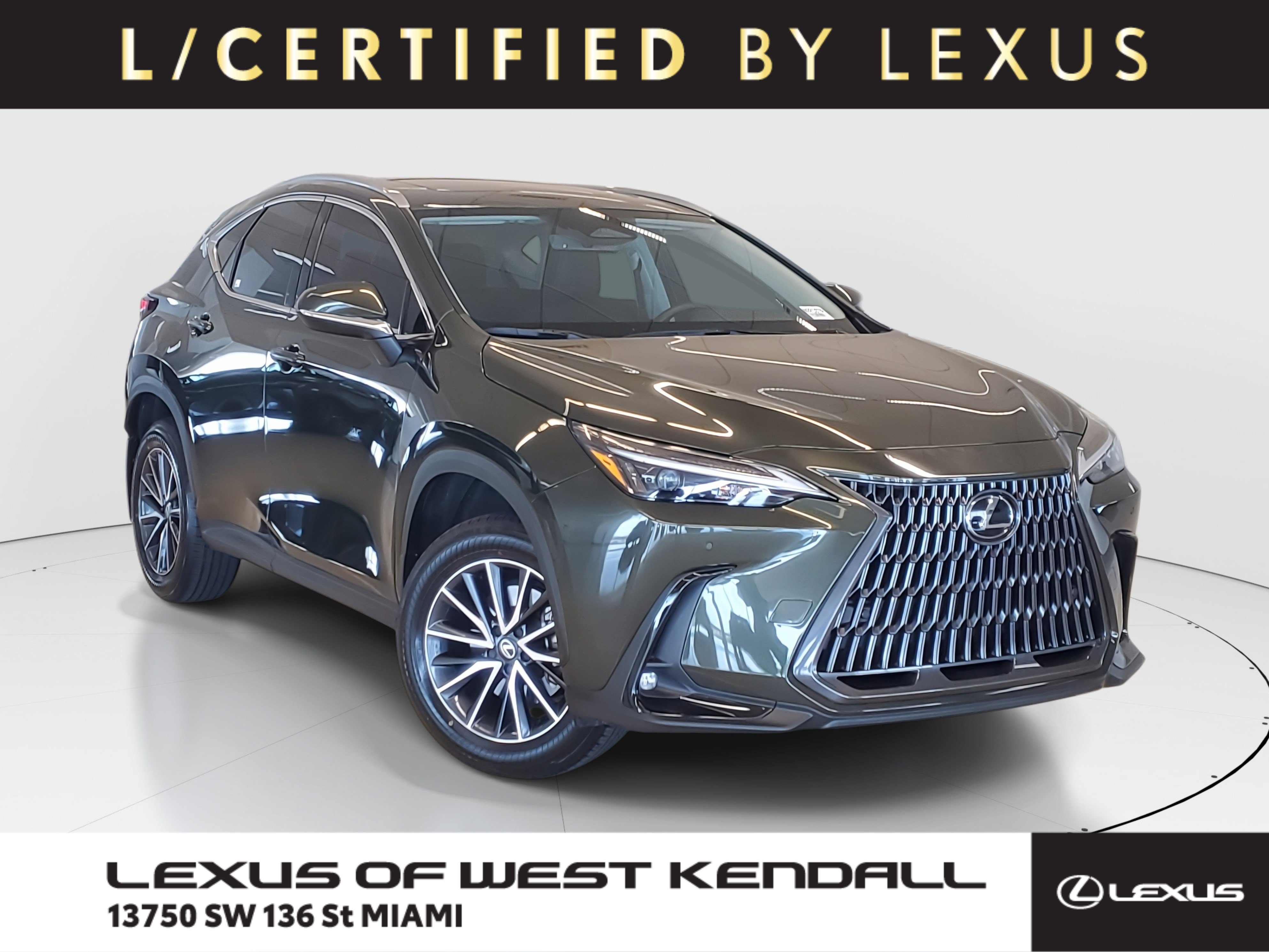 2025 Lexus NX 250's photo