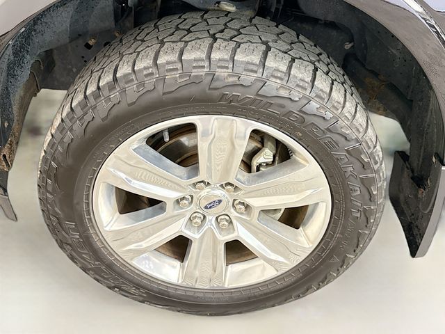 2019 Ford F-150 Platinum photo 29