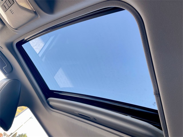 2025 Toyota RAV4 XLE Premium photo 12