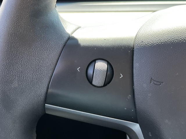 2021 Tesla Model 3 Performance photo 13