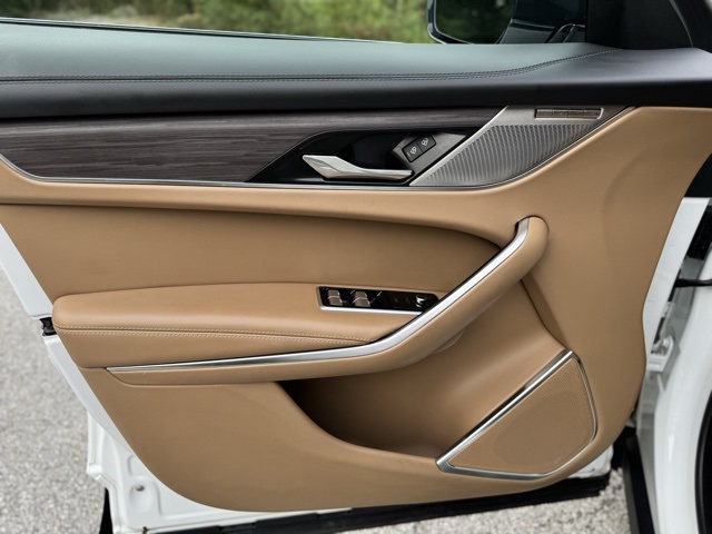 2023 Jaguar F-PACE P250 S photo 10