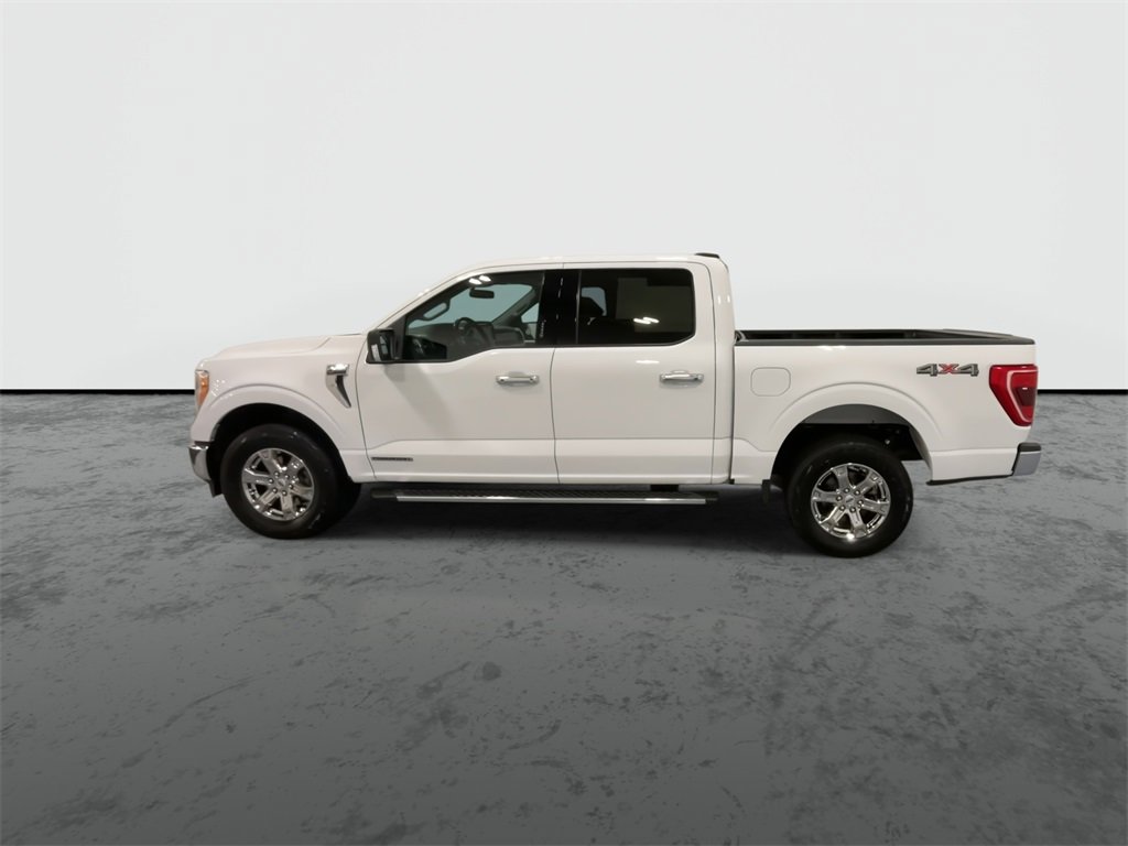 2021 Ford F-150 XL photo 5