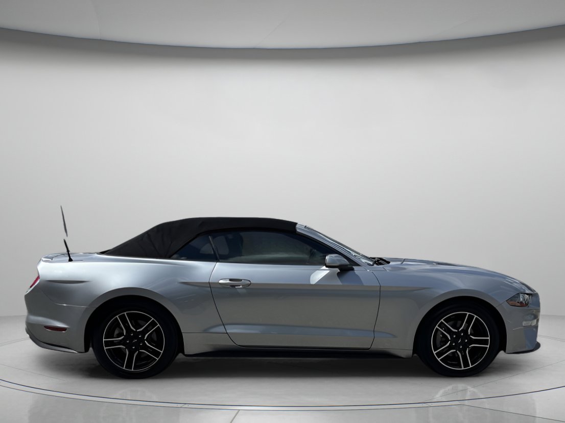 2023 Ford Mustang EcoBoost Premium photo 2