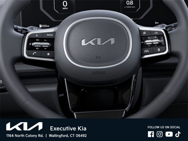 2025 Kia Carnival SX photo 22
