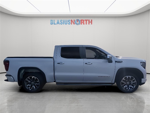 2022 Gmc Sierra 1500 Denali photo 5
